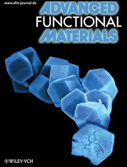 Advanced Functional Materials, 2009 Advanced Functional Materials, 2009
